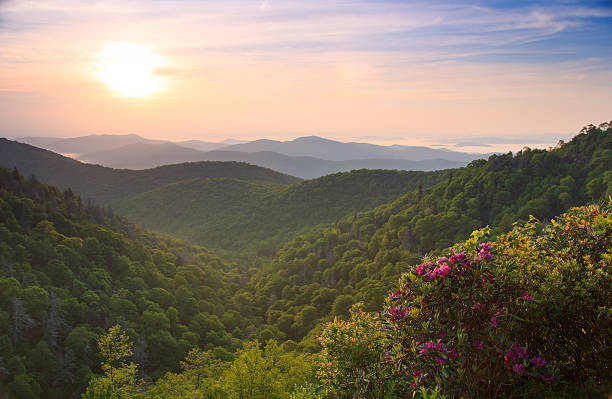 istock Sunrise mountains nature and flowers 496199511