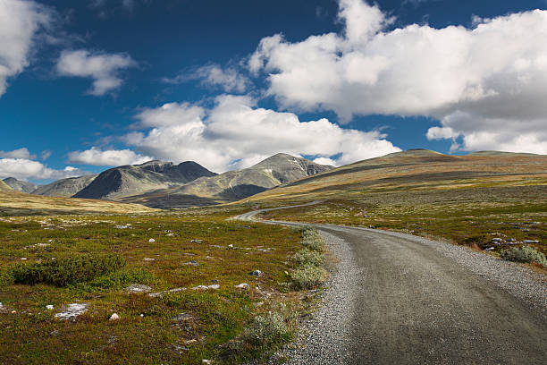 istock Rondane national park with road and mountains 496200856