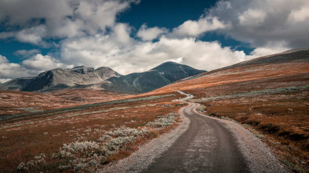 istock Rondane national park with road and mountains 496201616