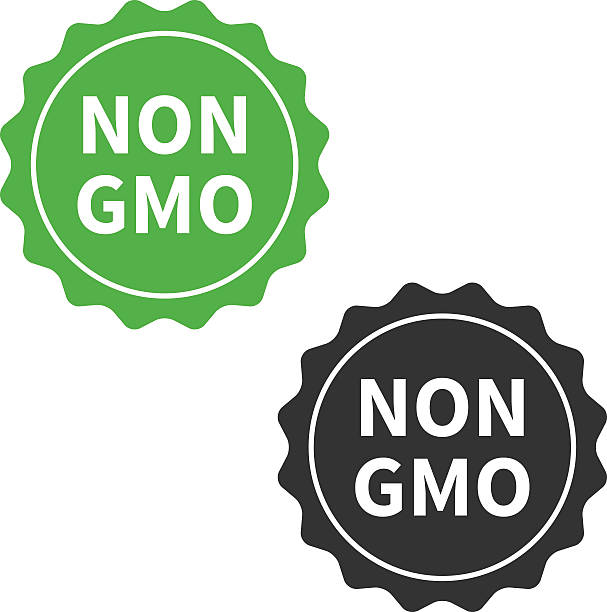 ilustraciones, imágenes clip art, dibujos animados e iconos de stock de sin ogm o el envasado de alimentos libres de omg sello o etiqueta del icono plana - non gmo