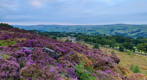 istock Norland moor,  Halifax, West Yorkshire, UK. 496204306