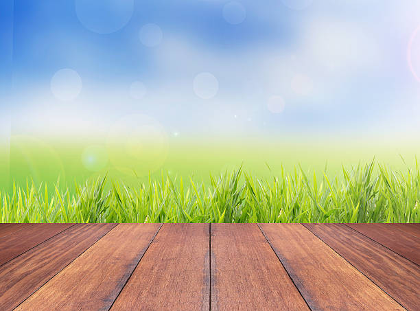 istock Nature bright spring with abstract background and wood floor 496204554