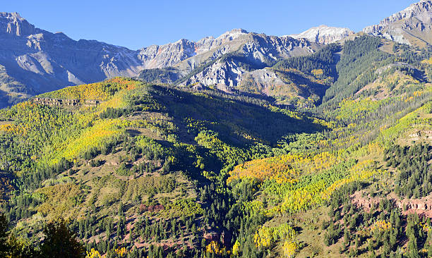 istock snow covered mountains and yellow aspen 496208106