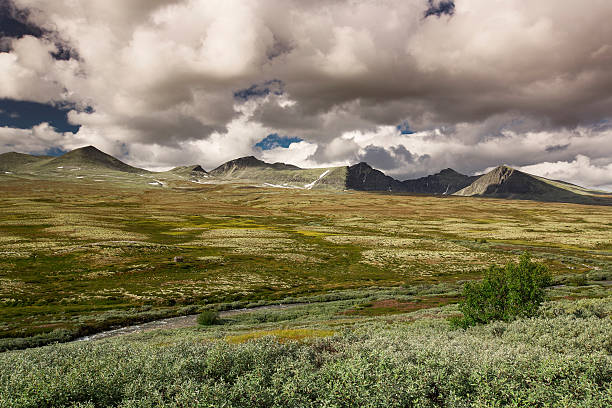 istock Rondane national park with mountains 496208820
