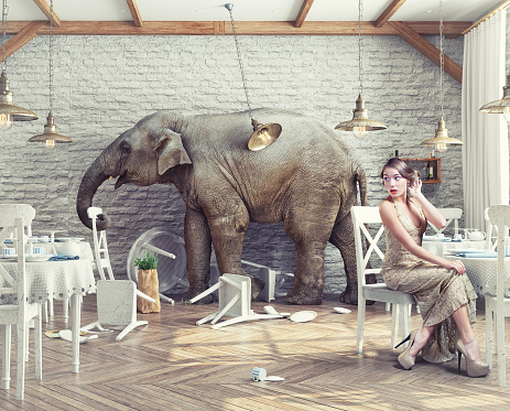 the elephant calm in a restaurant interior. photo combination and 3d concept