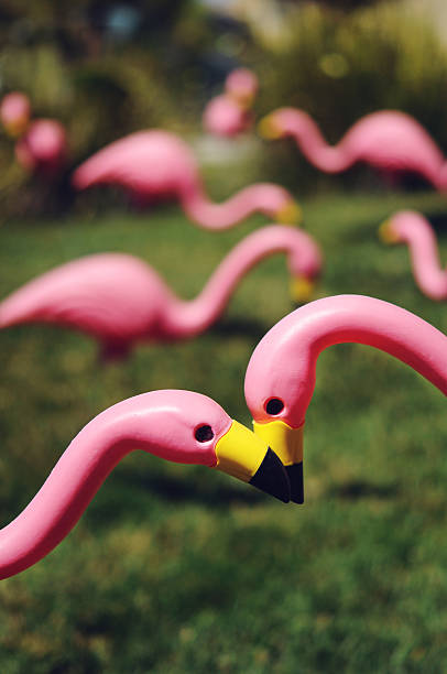 istock Pink Lawn Flamingoes 496209522