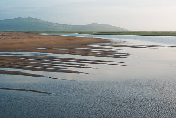 istock Sandy wild beach against backdrop of the hills. 496210980