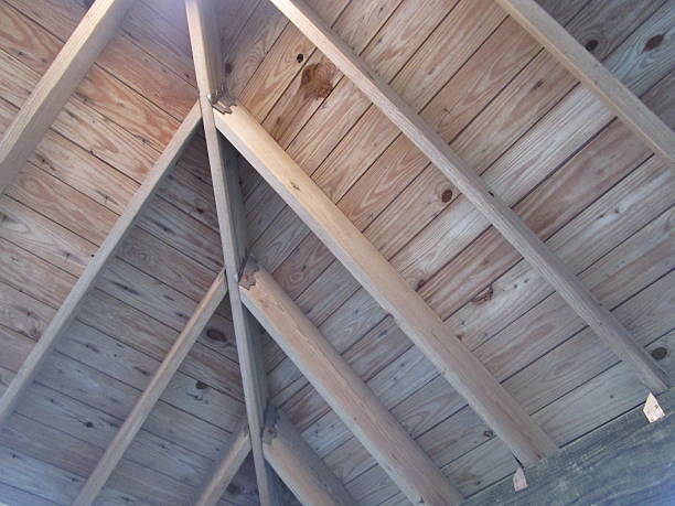 istock UNDERSIDE OF FISHING PIER ROOF 496211284