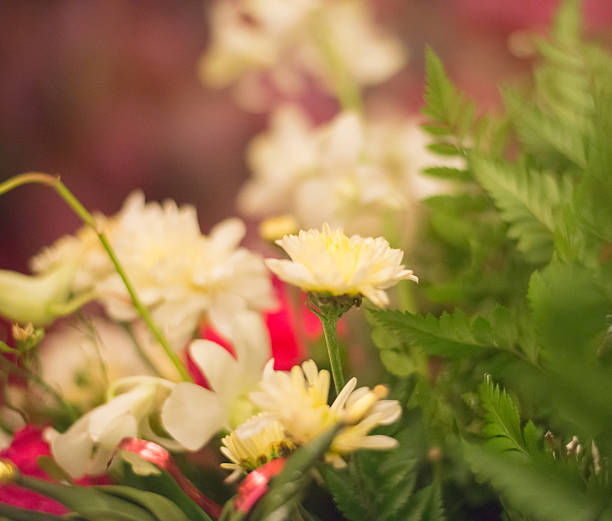 istock blurred of flowers 496212488