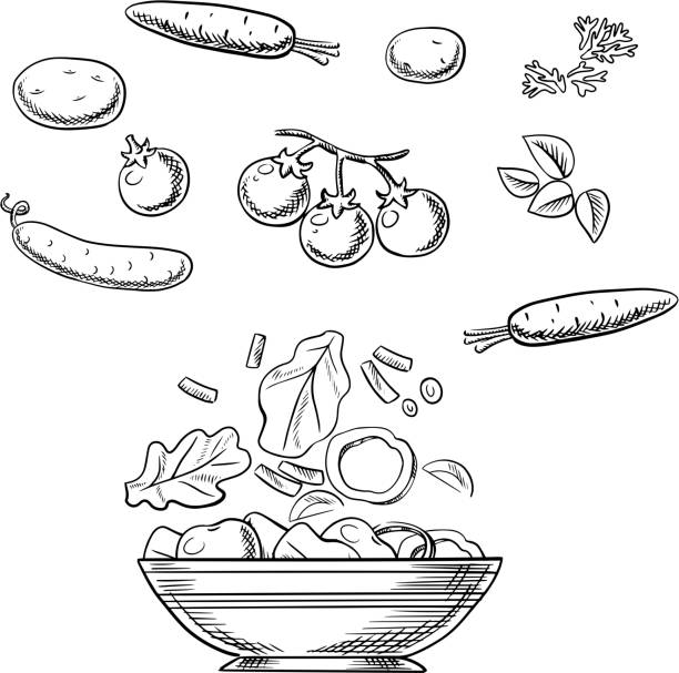 ヘルシーなお料理、新鮮な野菜サラダのスケッチ - tomato vegitable isolated food点のイラスト素材／クリップアート素材／マンガ素材／アイコン素材