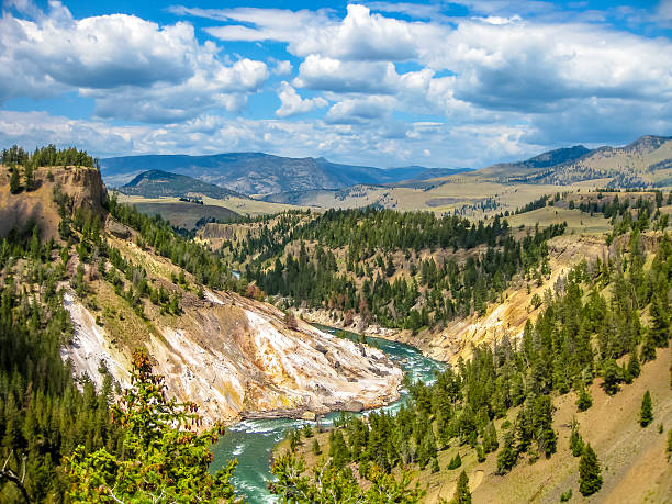 rio grand canyon de yellowstone - lower falls imagens e fotografias de stock