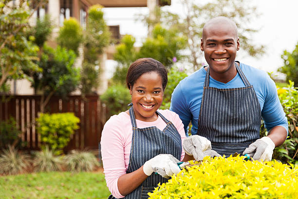 istock afro american couple working in home garden 496228454