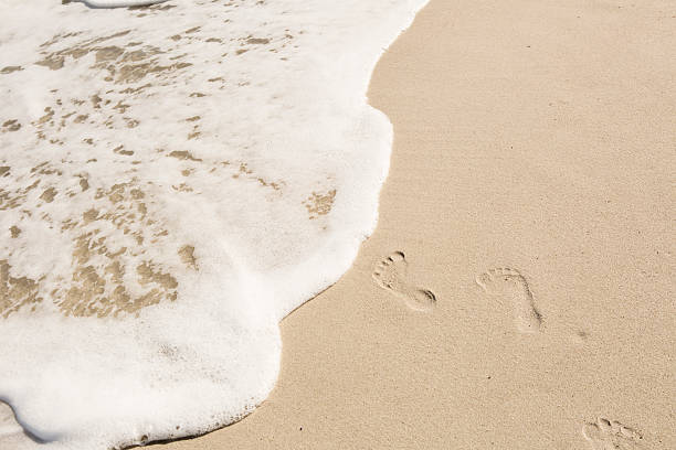 istock Footprints in the sand at beach 496229570