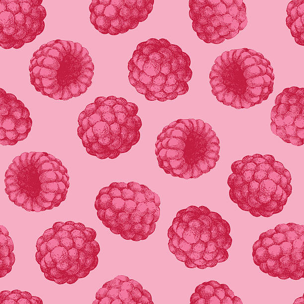 illustrations, cliparts, dessins animés et icônes de framboises motif sans couture de couleur - raspberry