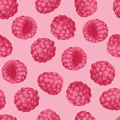 Seamless pattern with colored hand draw graphic raspberries. Vector illustration.