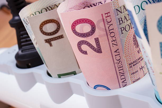 istock Rolls of polish money in electrical power strip with plug 496230656