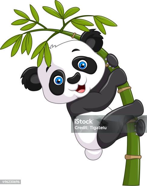 Süße Lustige Baby Panda Hängen Auf Einem Bambus Baum Stock Vektor Art und mehr Bilder von Panda