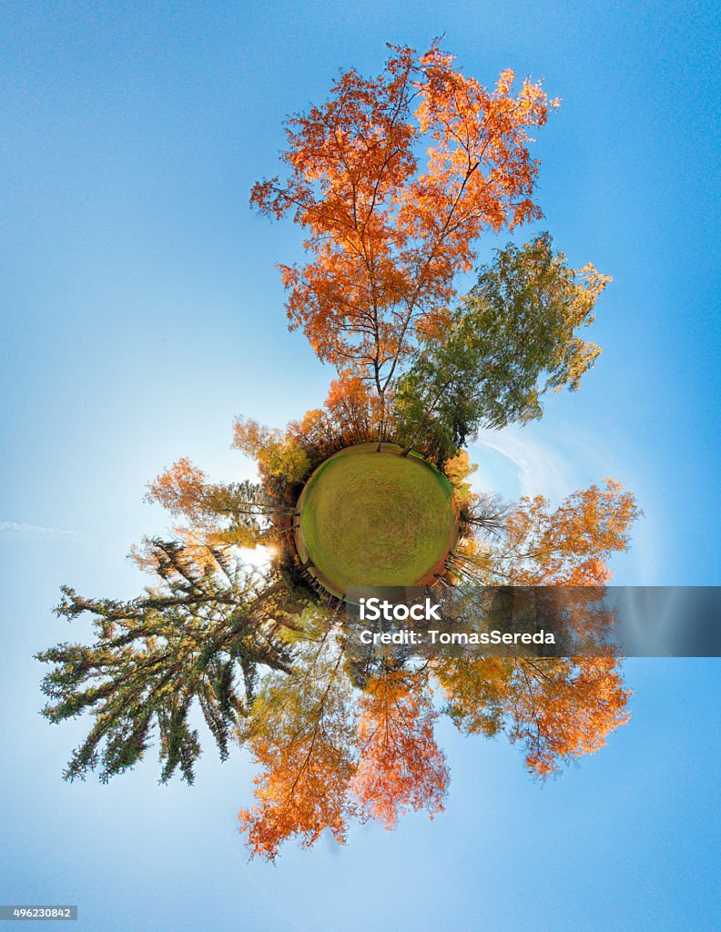 Little planet - autumn forest globe Autumn Stock Photo