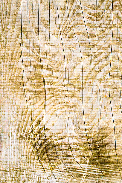 sección de la madera vertical - brown curve knotted wood striped fotografías e imágenes de stock