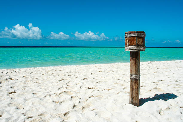 istock wood bin on maldives beach 496233474