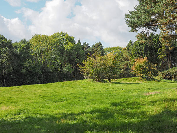 istock View of Tanworth in Arden 496234440