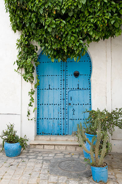 istock Blue doors and white wall of building in Tunisia 496235200