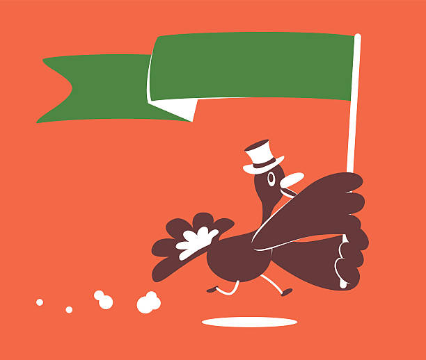 illustrations, cliparts, dessins animés et icônes de thanksgiving souriant en turquie avec chapeau et drapeau blanc - court longueur