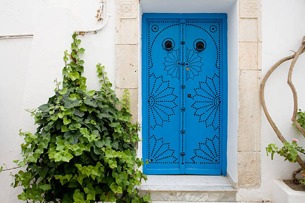istock Blue doors and white wall of building in Tunisia 496235232