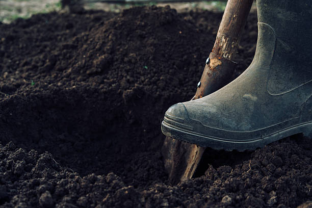 Man digs a hole Unrecognizable man digs a hole by shovel in garden dirt hole stock pictures, royalty-free photos & images