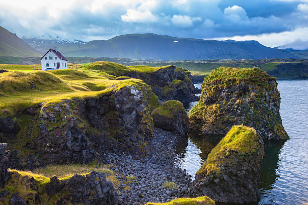 istock The coast of Iceland 496236304