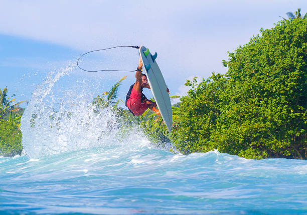 istock Surfing a Wave. Bali Island. Indonesia. 496237505
