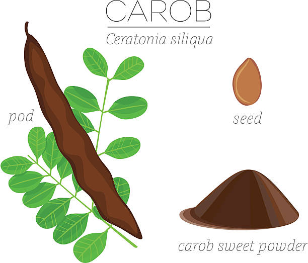 로커스트 - ceratonia stock illustrations