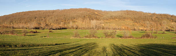 istock Panoramic Winter Landscape with green fields and hill with oak 496238120
