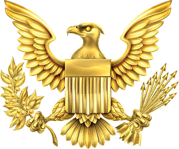 칠레식 골드 이글 - symbol military star eagle stock illustrations