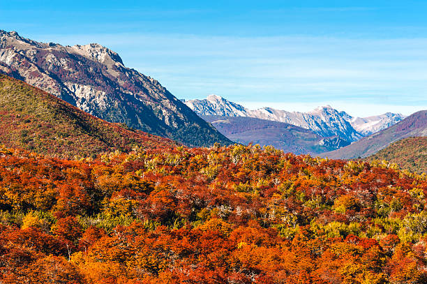 アルゼンチン、バリローチェの秋 - bariloche argentina andes autumn ストックフォトと画像