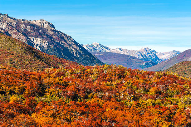 осень в барилоче, аргентина - south america argentina bariloche autumn стоковые фото и изображения