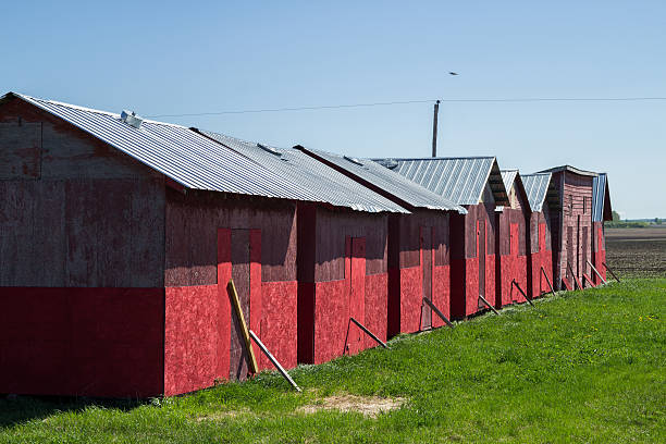 istock Row of red sheds 496238805