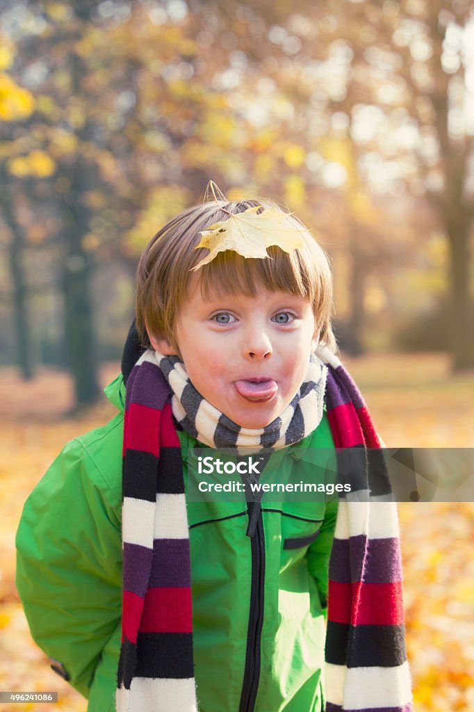 Niño en el parque otoño - Foto de stock de 2015 libre de derechos