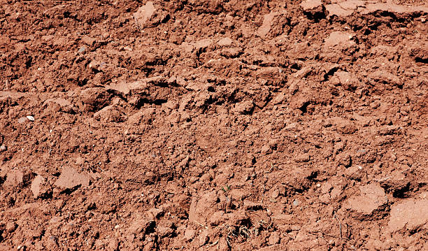 istock Soil with row of furrow 496241330