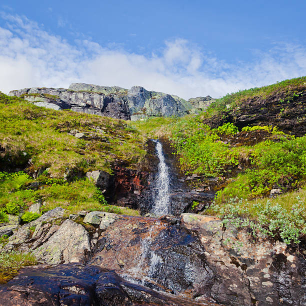 Beautiful Norwegian Summer Panorama Mountain Landscape near Trolltunga, Norway norway, nature, trolltunga, fjord, mountain, landscape, oslo, tongue, troll, hiking, norge, scandinavia, odda, summer, fjords, norwegian, lake, rock, iceland, reykjavik, ringedalsvatnet, hardanger, scandinavian, oslofjord, roldal, sognefjord, beautiful, blue, tourism, nordic, hardangervidda, prekestolen, preikestolen, kjerag, briksdal, Eidfjord, hordalann, Sognefjord, Hardangerfjord, Lysefjord, Geirangerfjord, Nordfjord, Oslofjord, Fjord Norway, Kjeragbolten, Pulpit Rock, Trollstigen, Voringsfossen, Vibrant, norway, nature, trolltunga, fjord, mountain, landscape, oslo, tongue, troll, hiking, norge, scandinavia, odda, summer, fjords, norwegian, lake, rock, iceland, reykjavik, ringedalsvatnet, hardanger, scandinavian, oslofjord, roldal, sognefjord, beautiful, blue, tourism, nordic, hardangervidda, prekestolen, preikestolen, kjerag, briksdal, Eidfjord, hordalann, Sognefjord, Hardangerfjord, Lysefjord, Geirangerfjord, Nordfjord, Oslofjord, Fjord Norway, Kjeragbolten, Pulpit Rock, Trollstigen, Voringsfossen, Vibrant, norway lysefjorden fjord norwegian currency stock pictures, royalty-free photos & images