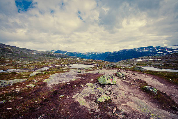 Beautiful Norwegian Summer Panorama Mountain Landscape near Trolltunga, Norway norway, nature, trolltunga, fjord, mountain, landscape, oslo, tongue, troll, hiking, norge, scandinavia, odda, summer, fjords, norwegian, lake, rock, iceland, reykjavik, ringedalsvatnet, hardanger, scandinavian, oslofjord, roldal, sognefjord, beautiful, blue, tourism, nordic, hardangervidda, prekestolen, preikestolen, kjerag, briksdal, Eidfjord, hordalann, Sognefjord, Hardangerfjord, Lysefjord, Geirangerfjord, Nordfjord, Oslofjord, Fjord Norway, Kjeragbolten, Pulpit Rock, Trollstigen, Voringsfossen, Vibrant, norway lysefjorden fjord norwegian currency stock pictures, royalty-free photos & images