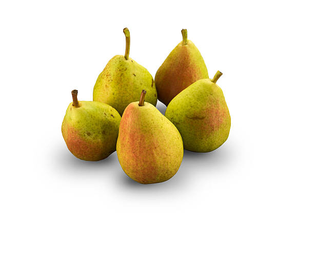 Organic Guyot Pears stock photo