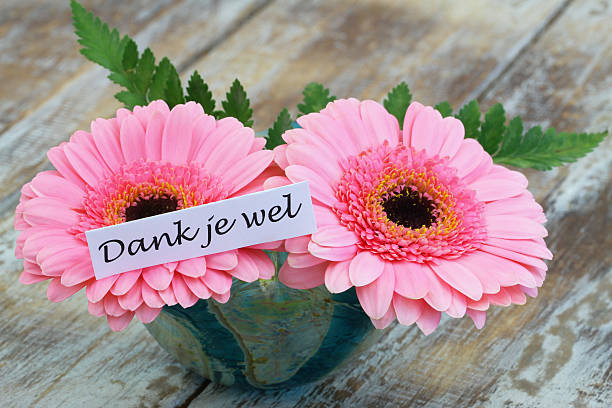 istock Dank je wel (thank you in Dutch) with pink gerberas 496254072