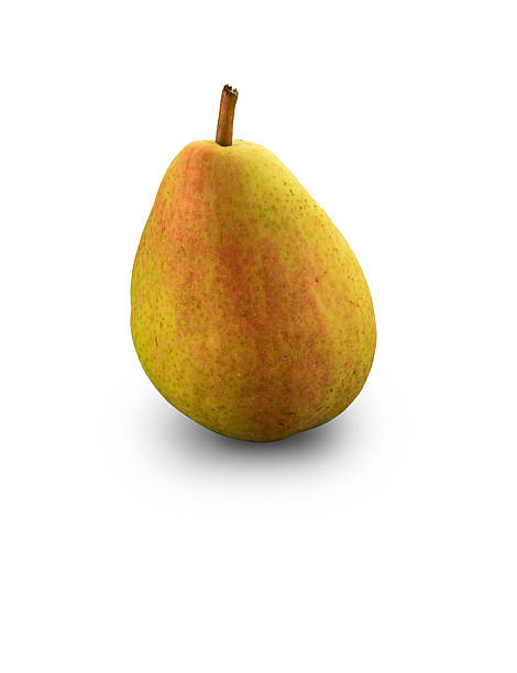 Organic Guyot Pear stock photo