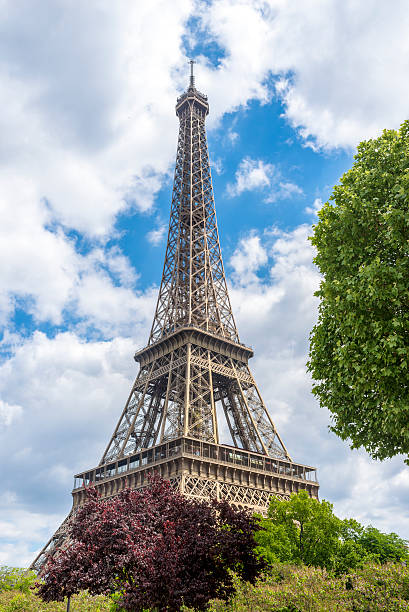 istock Eiffel Tower and tree twigs with blue sky and clouds 496254698