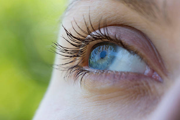 istock Close up of eye 496255082