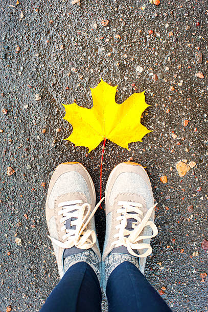 istock Fall in the city. Modern sneakers with maple leaf. 496256360