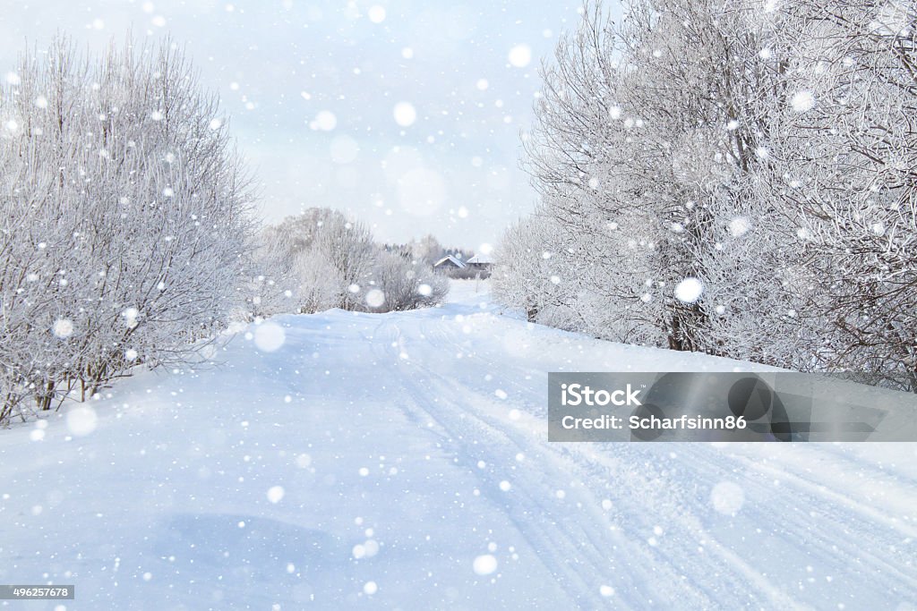 Verschneiten Wald - Lizenzfrei Schneesturm Stock-Foto