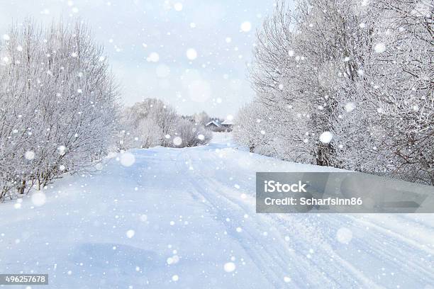 Verschneiten Wald Stockfoto und mehr Bilder von Schneesturm - Schneesturm, Schnee, Straßenverkehr