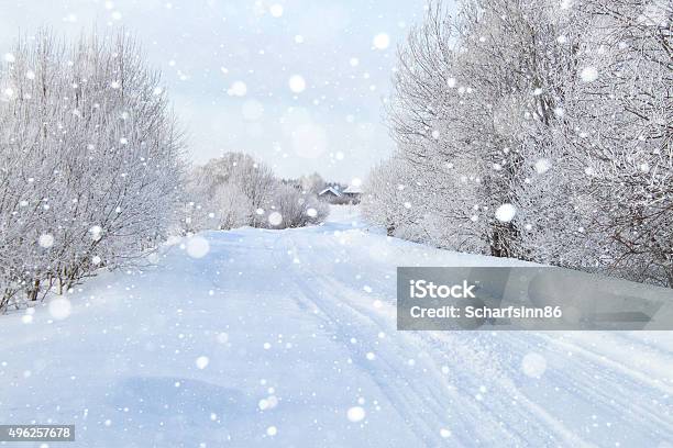 Snowy Forest Stock Photo - Download Image Now - Snow, Blizzard, Road